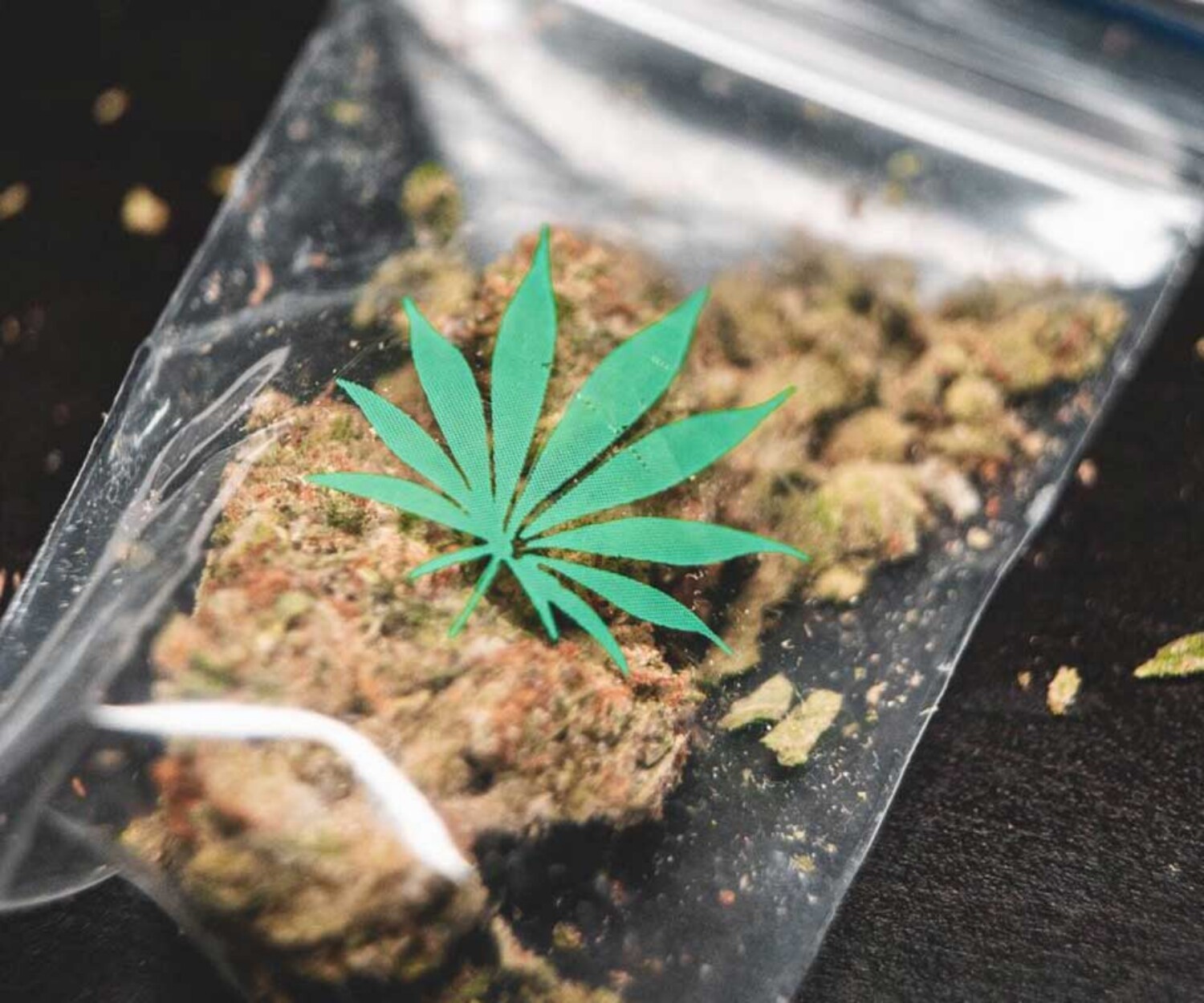 weed-in-ziploc-bag-with-weed-leaf-representing-needing-a-drug-crime-attorney-in-jacksonville-florida