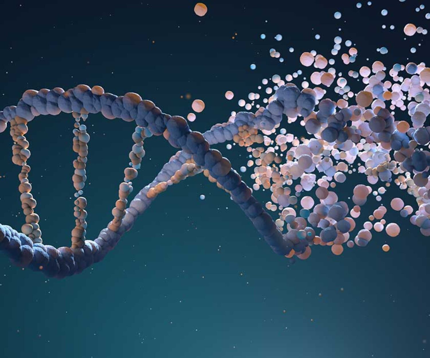 DNA-strand-made-of-small-pink-and-purple-dots-showing-criminal-defense-attorneys-studying-DNA-evidence-myths