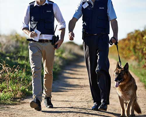 criminal-defense-attorneys-walking-down-dirt-road-with-dog-to-find-evidence